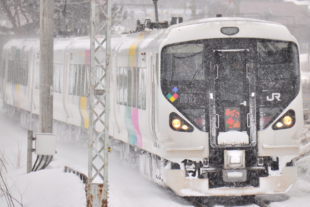 なごり雪