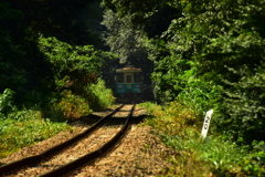 森行きの列車