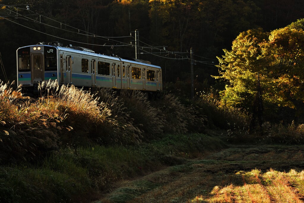 秋の夕陽に
