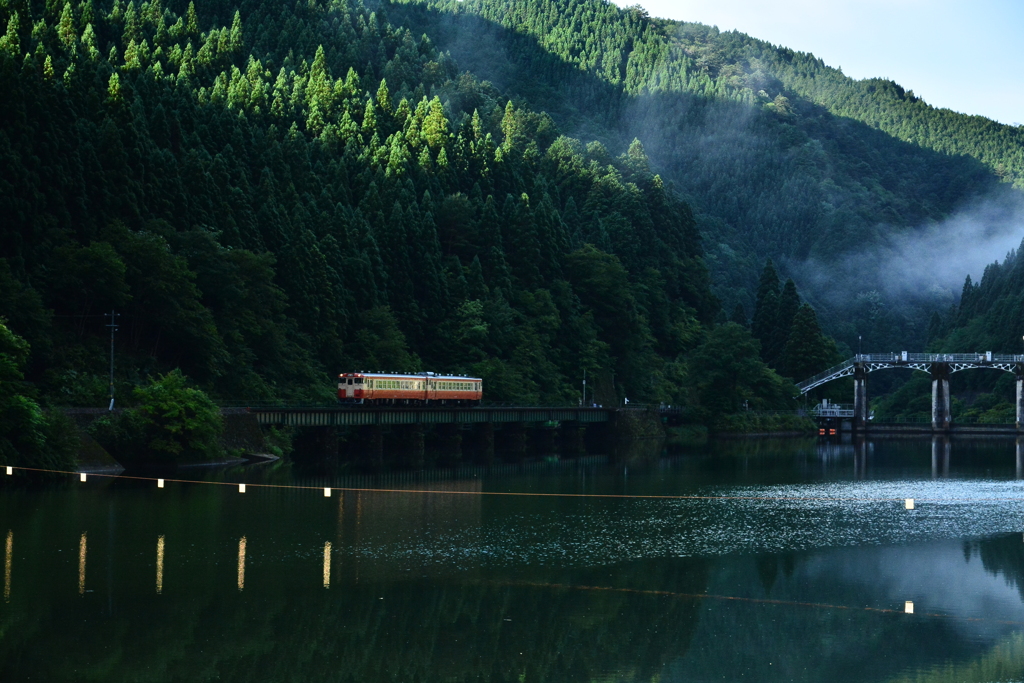 夏の朝