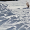 風雪に耐える
