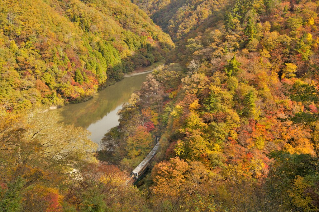 天竜峡　紅葉めぐり唐笠駅