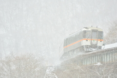 雪だより