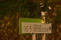薄暮