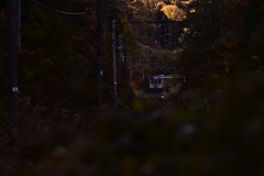 秋の夕陽にⅡ