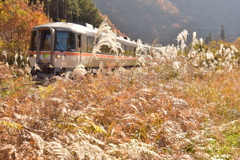 野原の鉄分補給