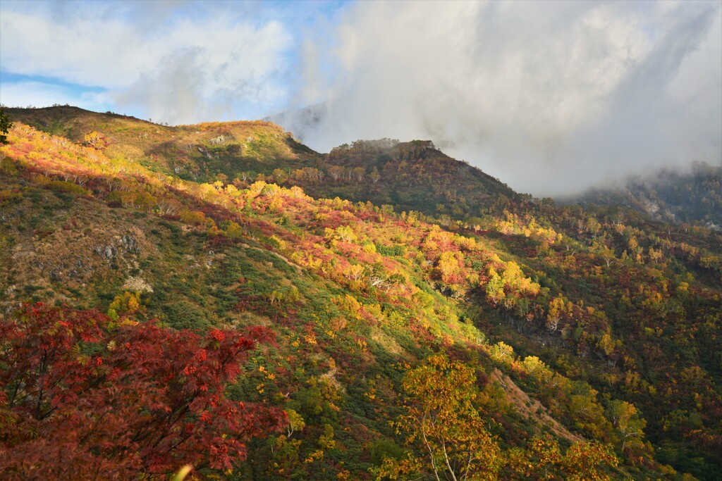 大倉山尾根から