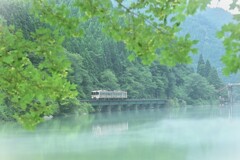 小雨と朝霧