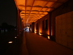 P1014553