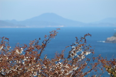 もう春はそこまで来てる♪