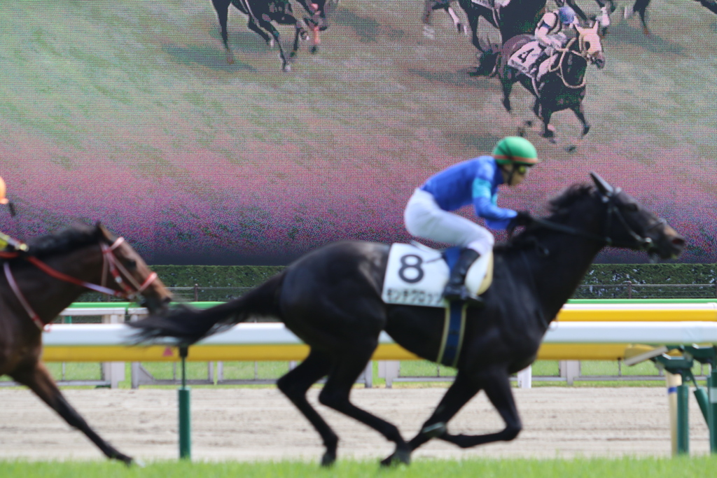 ■2019-04-21_東京競馬場 (46)