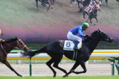 ■2019-04-21_東京競馬場 (46)