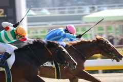 ■2019-02-17_東京競馬場-048JPG