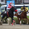 駆ける (9)