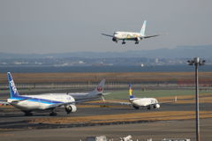 ■羽田空港-16