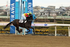 ■2019.02.12_浦和競馬07