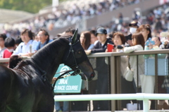 ■2019-04-21_東京競馬場 (52)