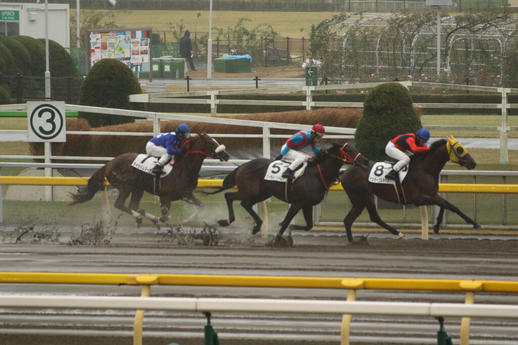 ■2019-11-23_ 東京競馬場(23)