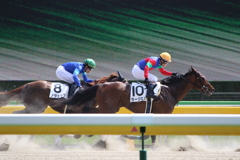■2019-04-21_東京競馬場 (32)