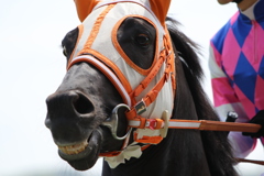 ■2019-04-21_東京競馬場 (43)