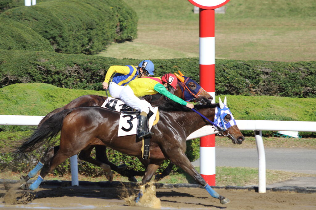 ■2019-11-25_浦和競馬場 (18)