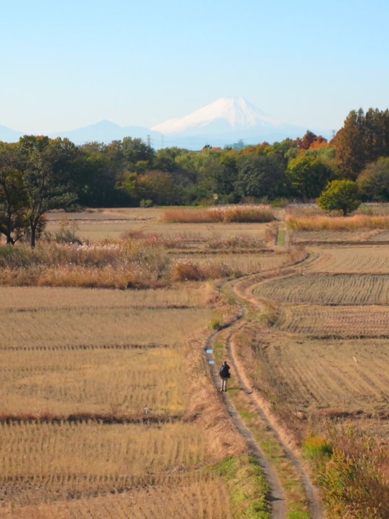 ■201-11-25_荒川土手から富士山
