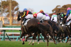 ■2019-12-15_中山競馬場 (200)