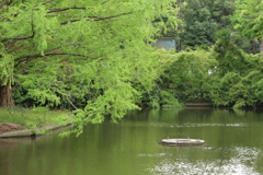 ■2019-04-27_大宮公園  (1)