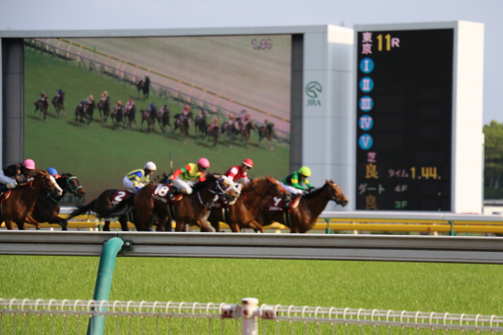 ■2019-04-21_東京競馬場 (74)