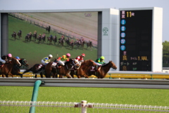 ■2019-04-21_東京競馬場 (74)