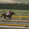 ■2019-11-23_ 東京競馬場(3)