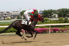 ■2019-05-03_浦和競馬場 (27)