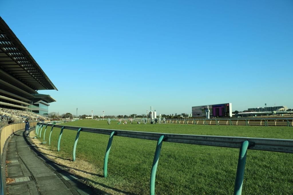 ■2019-02-02_東京競馬場15