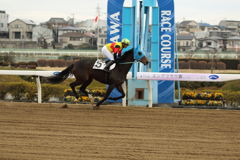 ■2019.02.11_浦和競馬07