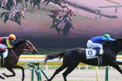 ■2019-04-21_東京競馬場 (48)