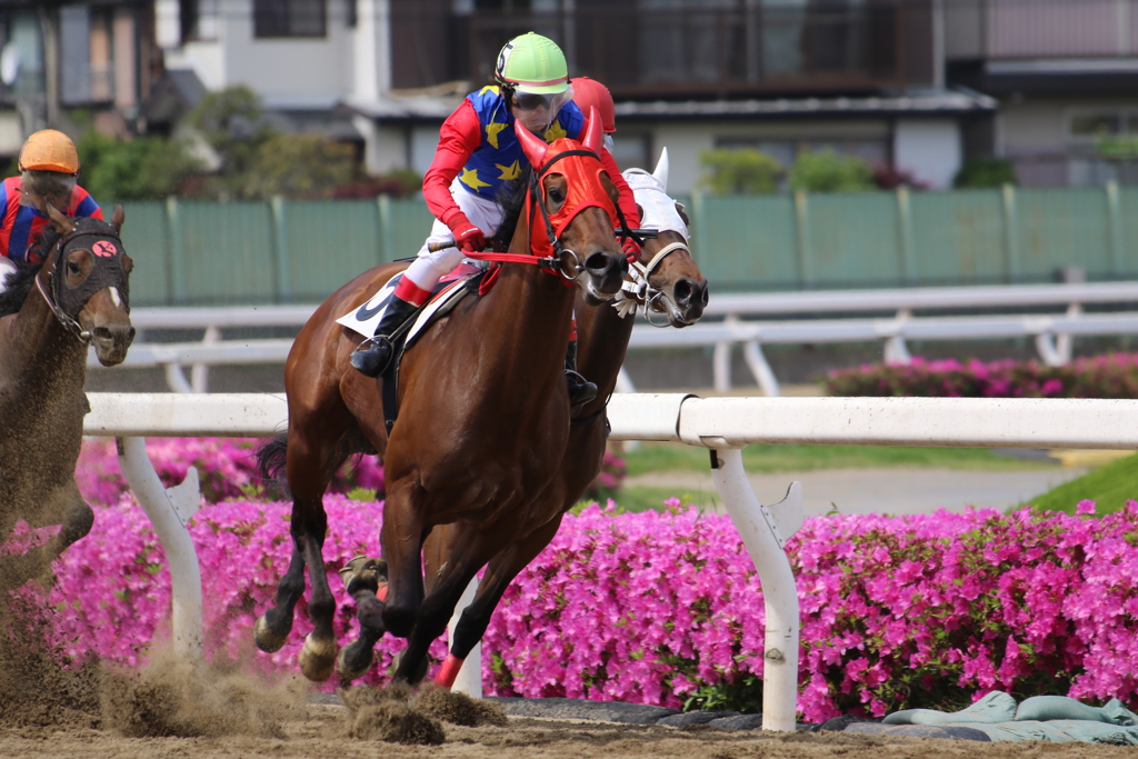 ■2019-05-03_浦和競馬場 (50)
