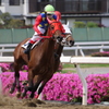 ■2019-05-03_浦和競馬場 (50)