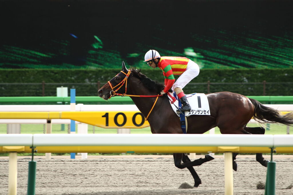 ■2019-10-26_東京競馬場 (14)