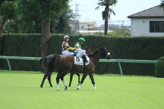 ■2019-09-15_中山競馬場 (17)