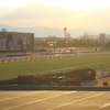 ■2020-02-08_東京競馬場 (91)