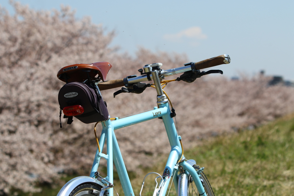 ■自転車_荒川土手-2