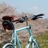 ■自転車_荒川土手-2
