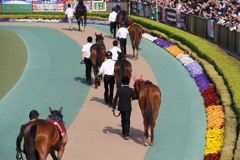 ■2019-04-21_東京競馬場 (70)
