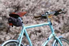 ■自転車_荒川土手-1