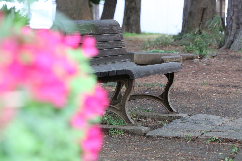■2019-04-27_大宮公園  (18)