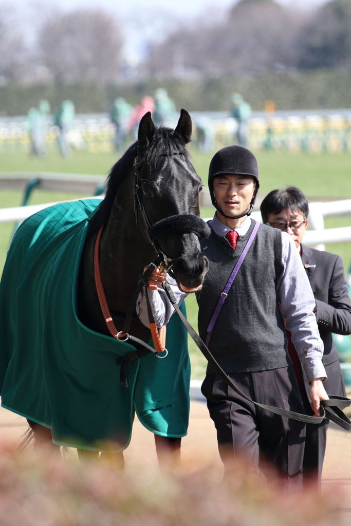 ■2019-02-17_東京競馬場-03
