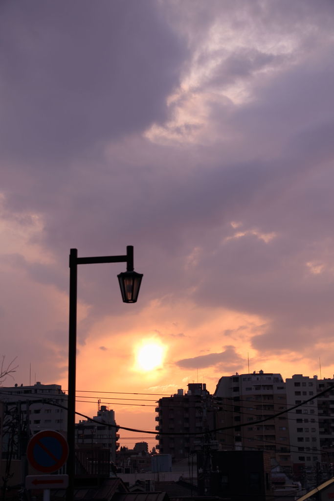 ■2019-03-16_谷中 (2)