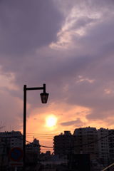 ■2019-03-16_谷中 (2)