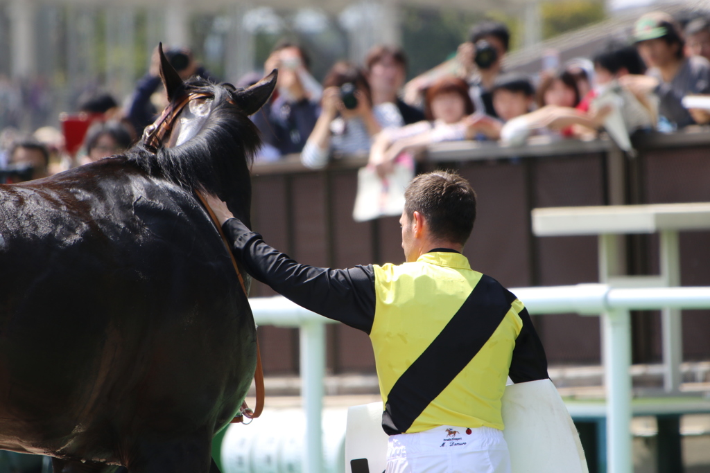 ■2019-04-21_東京競馬場 (37)