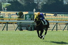 ■2019-02-02_東京競馬場1
